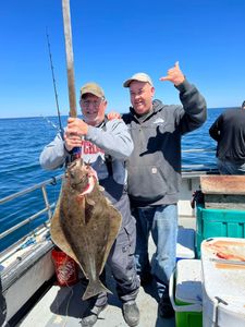 Largest Atlantic Halibut New Hampshire 2022